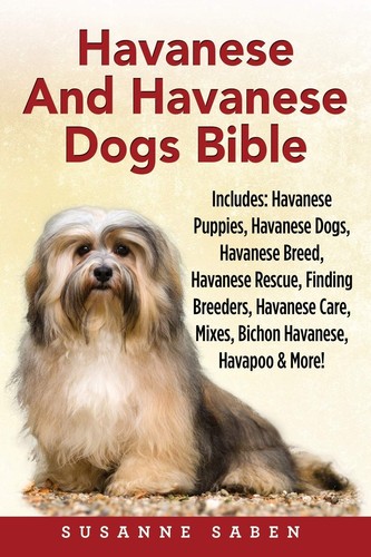 Havanese and - havanese,
