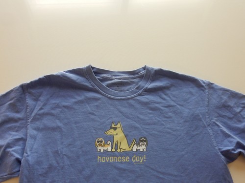 Teddy the dog - the, shirt