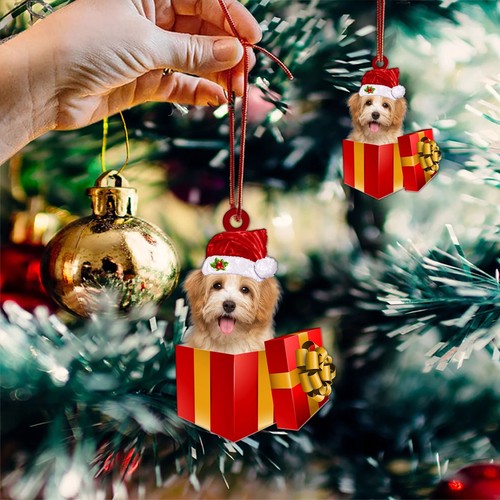 New havanese dog merry - new,