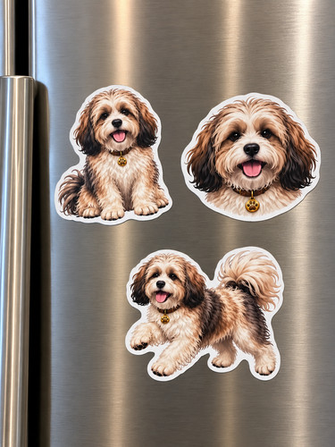 Havanese dog magnets - dog, of