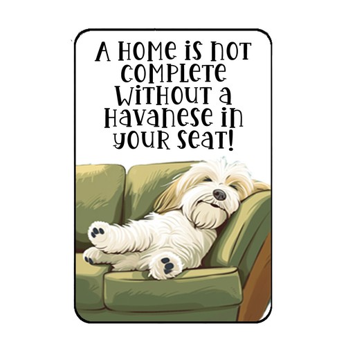 Havanese dog fridge - havanese,